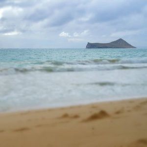 Meet your Posher, Corey